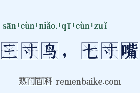 三寸鸟，七寸嘴是什么意思的图片